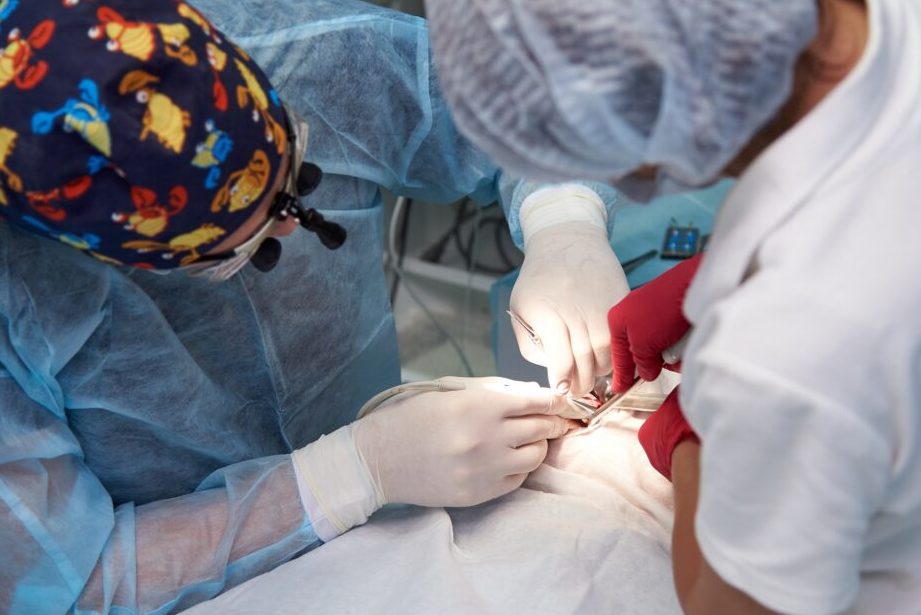 KLINIK PERGIGIAN DR NORLIZA (Kpbeautysmile) KEPALA BATAS 1 klinik pergigian dr norliza kpbeautysmile kepala batas